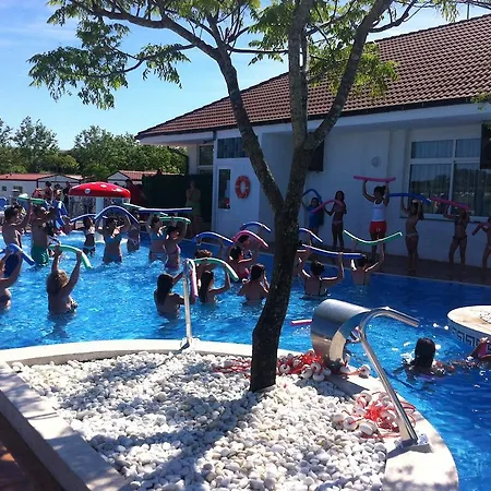 假日公园 阿里纳斯假日公园 *