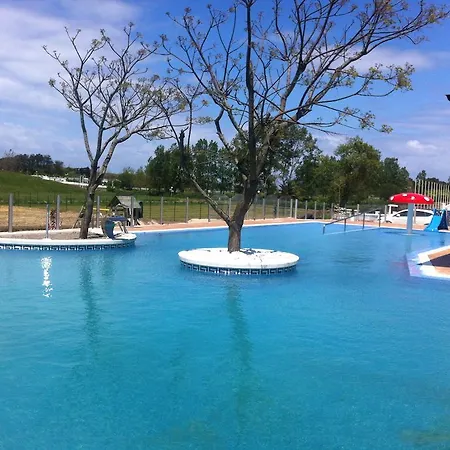 阿里纳斯假日公园 阿霍